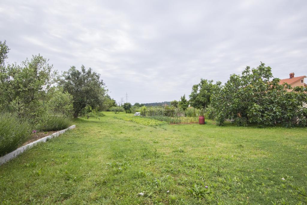 Pula Istria Apartments מראה חיצוני תמונה
